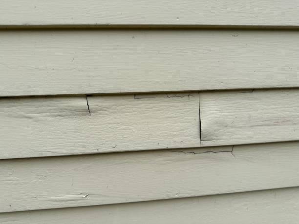 Siding Removal and Disposal